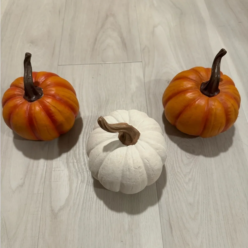 Fall Decor - Picture 6 of 6
